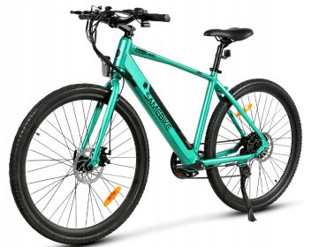 Electric Bicycle 36V 350W 10AH 7S speed 80KM 150KG +APP disc brake front and rear lights 700C*45C KENDA spoked wheel E Bike (Color: Green)